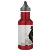 Indiase Fantail Duif Eyeliner Hen Waterfles (Links)