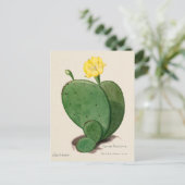 Indiase Fig Opuntia Cactus Illustratie Briefkaart (Staand voorkant)