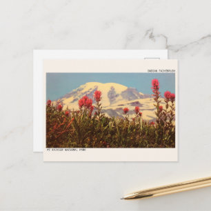 INDIASE KWASTBORSTEL, Mt Rainer National park gesc Briefkaart