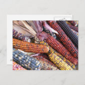 Indiase maïs briefkaart (Voorkant / Achterkant)