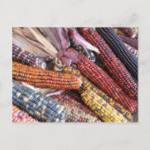 Indiase maïs briefkaart (Voorkant)