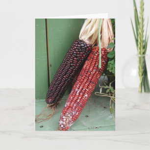 Indiase maïsontherst- of Thanksgiving-kaart Kaart