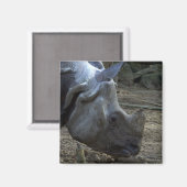 Indiase neushoorn magneet (Voorkant / Achterkant)