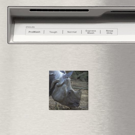 Indiase neushoorn magneet (Insitu (Vaatwasser))