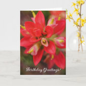 Indiase Paintbrush Wildflower Art Verjaardag Kaart (Gele Bloem)