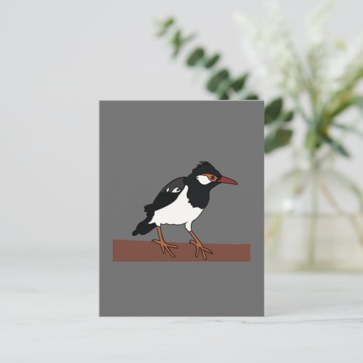 Indiase Pied Mina Vogelkunst Briefkaart (Staand voorkant)