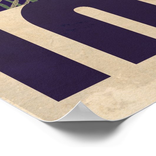  Indiase reisposter Poster (Hoek)