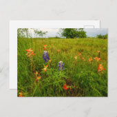 Indiase verfkwast en Bluebonnets, Ennis, TX Briefkaart (Voorkant / Achterkant)