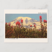INDIASE VERFKWAST, Mt Rainer National park geschen Briefkaart (Voorkant)