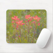 Indiase verfkwast roze Wildflower Art Muismat (Met muis)