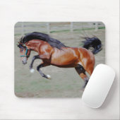 Indico VII bereiken Muismat (Met muis)