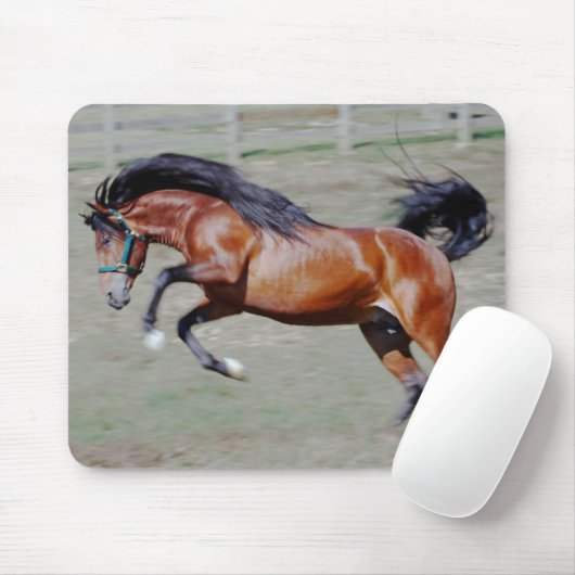 Indico VII bereiken Muismat (Met muis)