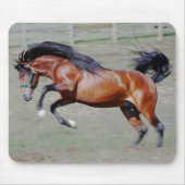 Indico VII bereiken Muismat (Voorkant)