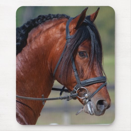 INDICO VII MUISMAT (Voorkant)