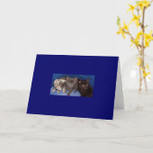 Indie, Grijs weinig en Micah Kaart (Gele Bloem)