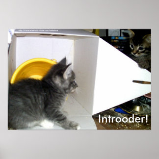 Indiener! Keukenposter Poster