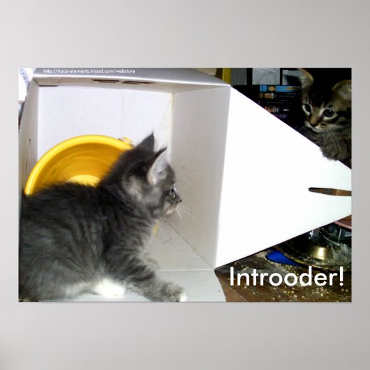 Indiener! Keukenposter Poster (Voorkant)