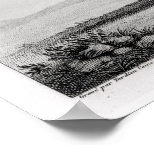 Indiër van de Natie van Kaskaskia Poster (Hoek)