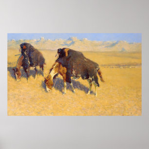 Indiërs Simuleren Buffalo Poster