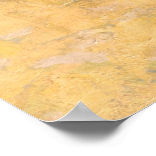 Indiërs Simuleren Buffalo Poster (Hoek)