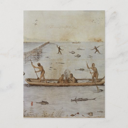 Indiërs Vist Briefkaart (Voorkant)