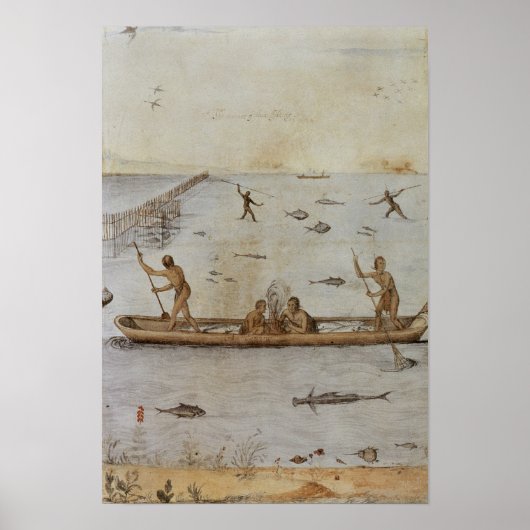 Indiërs Vist Poster (Voorkant)