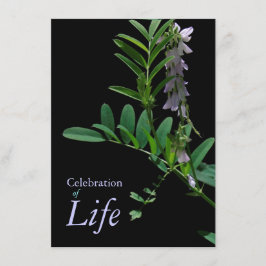 Indigo 1 Viering van de begrafenis van het leven Kaart