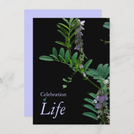 Indigo 2 Viering van het leven Begrafenis Aankondi Kaart