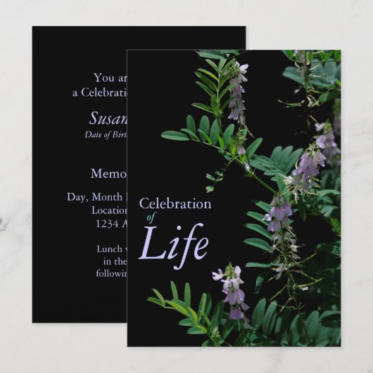 Indigo 3 Viering begrafenis van de begrafenis van  Kaart (Voorkant / Achterkant)