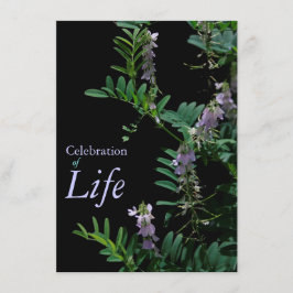 Indigo 3 Viering begrafenis van de begrafenis van Kaart