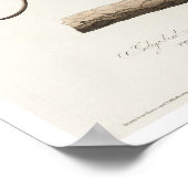 Indigo Bird by Audubon Poster (Hoek)