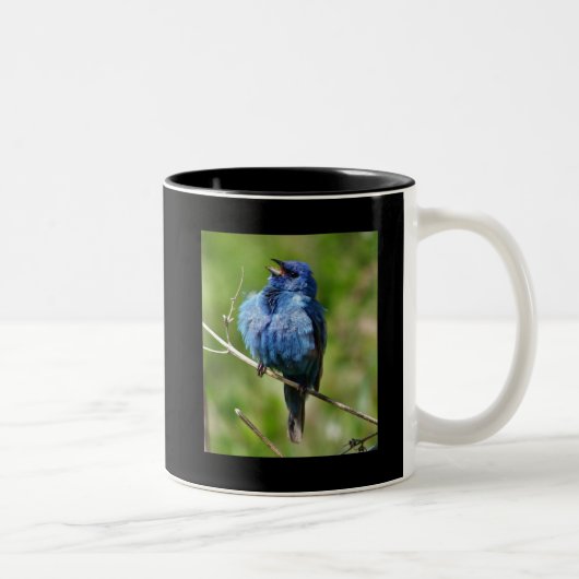 Indigo Bunting 1, Hot All Bird Action www.Birdch.. Tweekleurige Koffiemok (Rechts)