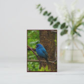 Indigo Bunting ATC Visitekaartje (Staand voorkant)