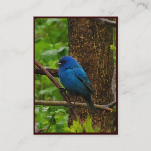 Indigo Bunting ATC Visitekaartje (Voorkant)
