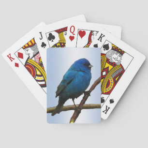 Indigo Bunting Bird Palling Cards Pokerkaarten