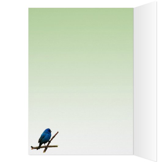 Indigo Bunting Blank Kaart (Binnen (Links))