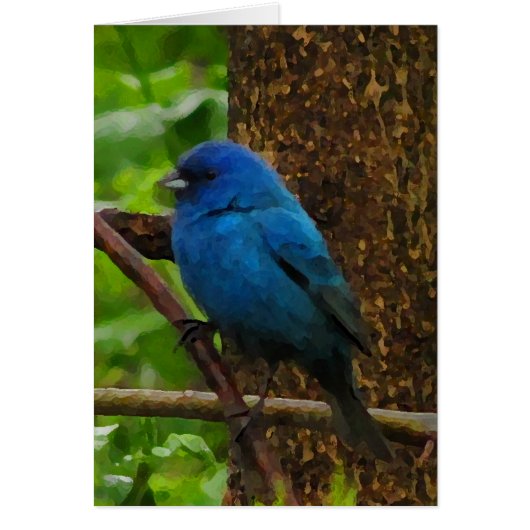 Indigo Bunting Blank Kaart (Voorkant)