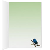 Indigo Bunting Blank Kaart (Binnen (Rechts))