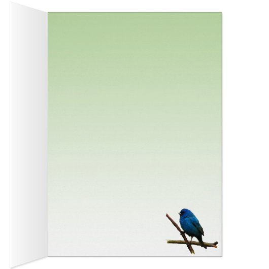Indigo Bunting Blank Kaart (Binnen (Rechts))