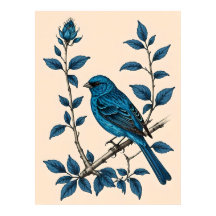 Indigo Bunting Bliss - Een lied van kleuren