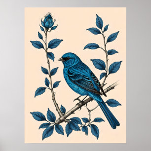 Indigo Bunting Bliss - Een lied van kleuren Poster