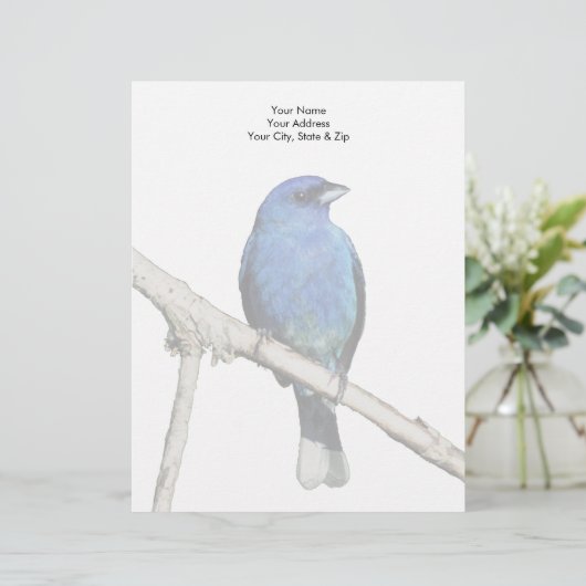 Indigo Bunting Briefhoofd (Staand voorkant)