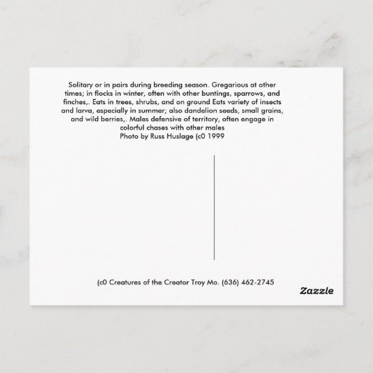 Indigo Bunting Briefkaart (Achterkant)