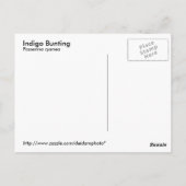 Indigo Bunting Briefkaart (Achterkant)