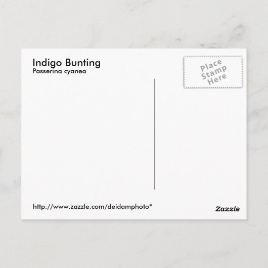 Indigo Bunting Briefkaart (Achterkant)