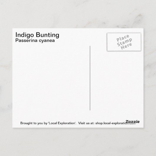 Indigo Bunting Briefkaart (Achterkant)