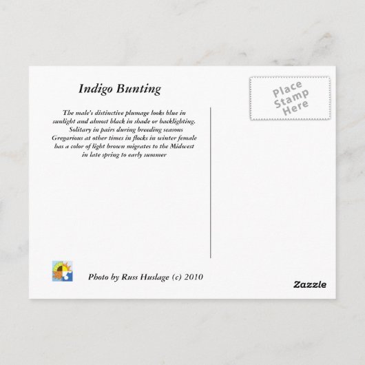 indigo bunting briefkaart (Achterkant)