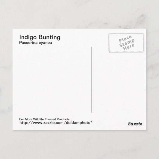 Indigo Bunting Briefkaart (Achterkant)