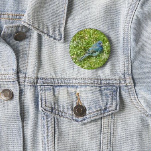 Indigo Bunting Button (In situ)