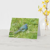 Indigo Bunting Card Kaart (Gele Bloem)